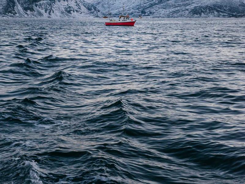 Renault Trafic Aménagé — Évasion